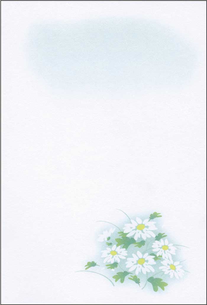 Ｅ白菊